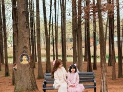 -佛冈森波拉度假区