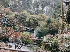 -碧峰峡风景区