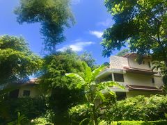 -卷心菜和避孕套餐厅(Pattaya)