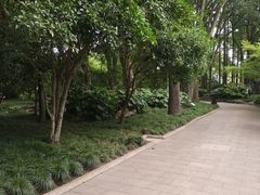 -上海醉白池公园