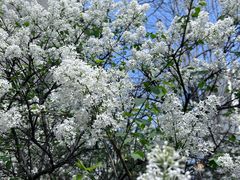 -中福百货(望京店)