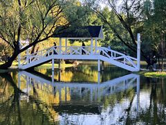 -上海共青森林公园