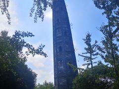 -上海佘山国家森林公园天马山园