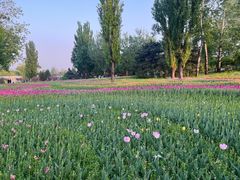 -国家植物园南园