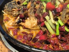 -老板恋上鱼(恒隆广场店)