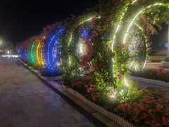 -三亚海昌梦幻海洋不夜城