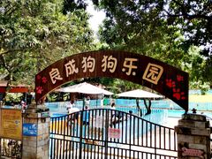-良成狗狗乐园