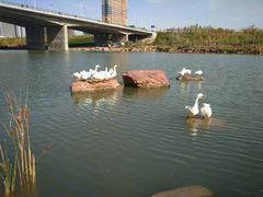 -小绿谷公园