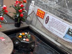 -燕喜堂·中华老字号(大明湖店)