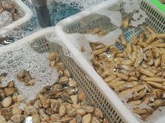 -和源祥·日照菜扛把子(万平口一店)