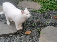 -南枝小馆(银鱼巷店)