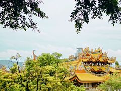 -仙岳公园