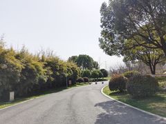 -九里河湿地公园