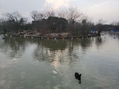 -上海野生动物园