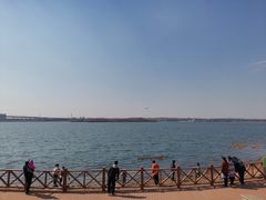 -丁香湖公园