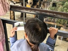 -硅谷蒙学幼儿园