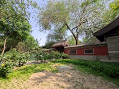 -元大都城垣遗址公园