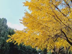 -汇龙潭