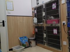 -瑞派雷欧宠物医院·24h夜诊·心脏骨科牙科·全科重症转诊中心(无影山店)