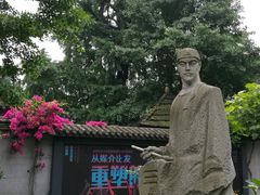 -泡桐树街