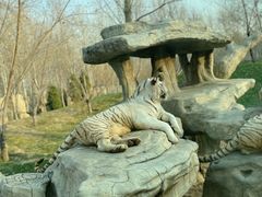 -北京野生动物园