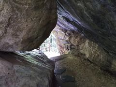 -牛背梁国家森林公园