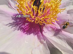 -南海子公园
