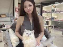 -lincat·猫舍(广州店)