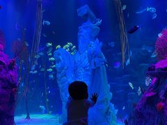 -沈阳海洋探索中心