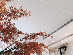 -艾薯夫妇Aysh(福田星河COCOPark店)