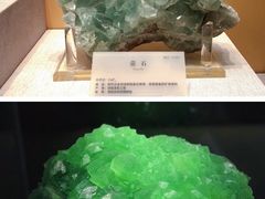 -湖南省地质博物馆