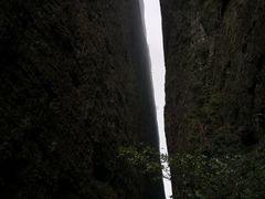 -杨家堂村
