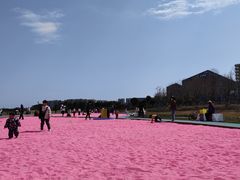 -春花秋色城市公园