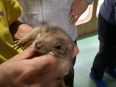 -藦茜花园宠物主题亲子互动体验馆(国顺东路店)