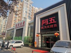 -阿五黄河大鲤鱼(英协路店)