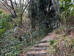 -青龙山国家森林公园