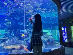 -左海海底世界