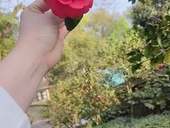 -南山植物园