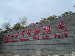 -青藏高原野生动物园