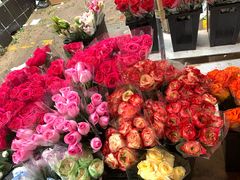 -循礼门鲜花花市(武汉循礼门店)