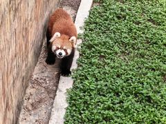 -南宁市动物园