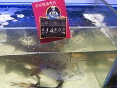 -大润发(国兴店)