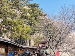 -青岩寺风景区