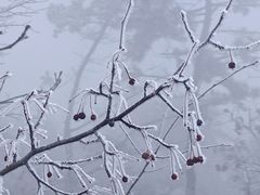 -沂蒙山旅游区云蒙景区(蒙山国家森林公园)