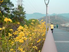 -金鸡山公园
