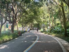 -顺峰山公园