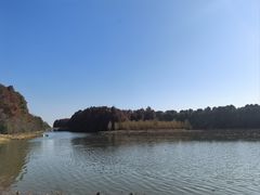 -上海海湾国家森林公园