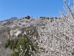 -白水寺森林公园