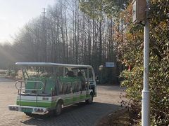 -上海海湾国家森林公园