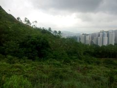 -狮子山郊野公园
